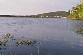 夏初水库钓鱼技巧（夏初水库钓鱼技巧大揭秘）