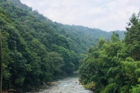 瀑布水库钓鱼技巧（掌握这些技巧）