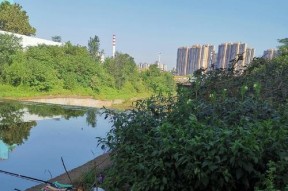 小雨垂钓技巧（享受细雨中的钓鱼乐趣）