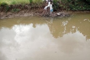 浑水水库钓鱼实战技巧（提升钓鱼技巧）