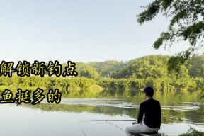 初冬湖野钓鲫鱼技巧有哪些？如何提高钓鲫鱼的成功率？