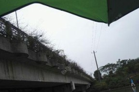 雨中钓鱼的乐趣（享受湖畔宁静）