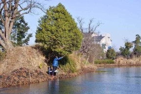 冬天湖面钓鱼技巧（寒冷季节里）