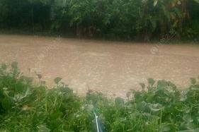 海上下雨钓鱼技巧（掌握钓鱼技巧）