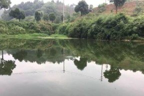 夏天水库钓鱼打窝技巧（夏季水库钓鱼）