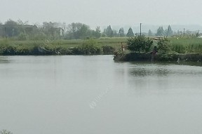 雨天钓鱼技巧当涂县（雨中垂钓的秘密和技巧）