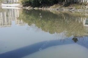 河道大坝钓鱼技巧（掌握这些技巧）