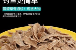 菜籽渣钓鱼技巧有哪些？如何提高使用菜籽渣的钓鱼效果？