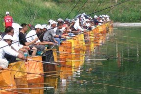 夏日钓鱼技巧（三伏天黑坑回锅鱼钓鱼技巧）