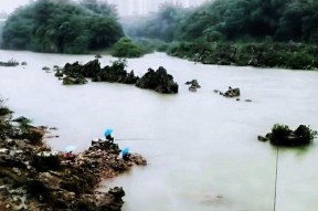 雨后钓鱼的技巧与方法（提高钓鱼成功率的关键是掌握这些技巧）