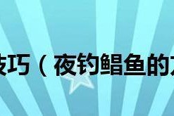 五月夜钓的技巧与方法（夜间垂钓利用光线的奥秘）