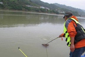 夏季垂钓技巧（享受夏日垂钓乐趣）