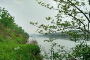 雨天钓鱼技巧（掌握适应性装备和技术）