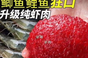 虾肉挂钩钓鱼技巧（掌握虾肉挂钩钓鱼技巧）