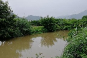 夏天下雨野钓技巧（怎样在夏天的雨天享受野钓乐趣）