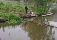 谷雨钓鱼技巧大揭秘（学会这些技巧）