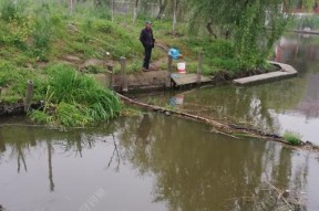 谷雨钓鱼技巧大揭秘（学会这些技巧）