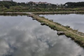 清澈河水下的钓鱼妙招（如何在清澈河水中进行高效的钓鱼活动）