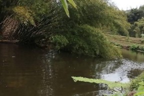 夏天河边垂钓技巧（享受夏日河畔的钓鱼乐趣）