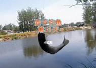 水深30公分下的钓鱼技巧（探秘浅水钓鱼的窍门）