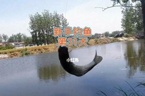 水深30公分下的钓鱼技巧（探秘浅水钓鱼的窍门）