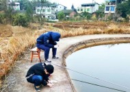 高温天气过后钓鱼技巧（应对高温天气）