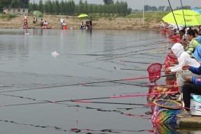 秋季下雨天黑坑钓鱼的三大技巧（雨天钓鱼）