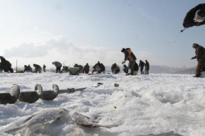 冬天海河钓鱼技巧（冬季海河钓鱼的必备知识与技巧）