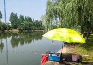 梅雨季节河道钓鱼技巧大全（掌握梅雨季节河道钓鱼的关键技巧）