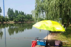 梅雨季节河道钓鱼技巧大全（掌握梅雨季节河道钓鱼的关键技巧）