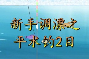 掌握钓鱼技巧调漂的6步方法（钓鱼调漂，学会这6步，轻松提高钓鱼成功率）