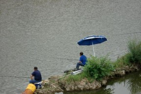 夏季大雨过后钓鱼技巧（细雨缠绵钓技成就）