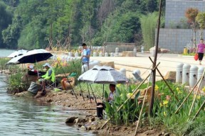 野钓接人技巧教学（学习如何在野外环境中接人的有效方法）