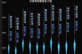 冬日夜钓鲫鱼的夜光漂技巧（冬天使用夜光漂钓鲫鱼）