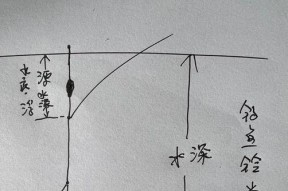 沙滩钓鱼技巧教程（掌握钓鱼技巧）