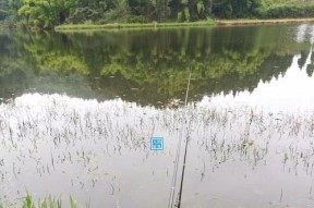 冬天水面结冰钓鱼技巧（寒冬垂钓攻略）