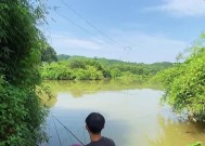 夏天下大雨钓鱼技巧（掌握技巧）