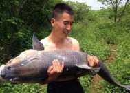 夏日野钓，探索手竿钓大鱼的技巧（挑战夏季钓鱼极限）