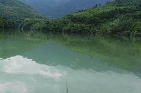 雨后阴天钓鱼技巧（提高钓鱼成功率的实用技巧）