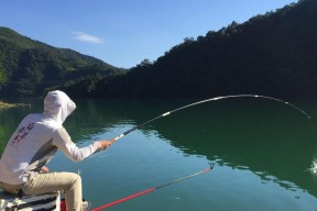 秋季野钓鲫鱼技巧大揭秘（掌握这些钓鱼口诀）