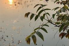 夏天退水钓鱼技巧（夏日钓鱼的绝佳时机）