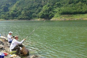 夏季草塘钓鱼技巧（夏季草塘钓鱼的窍门和技巧）