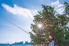 夏日野钓鱼的技巧与方法（钓鱼达人分享的夏季野钓心得与经验）