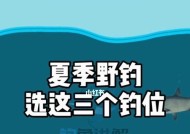 秋季钓鱼的最佳钓位选择技巧（钓鱼地点如何选？最适合的钓位在哪里？）