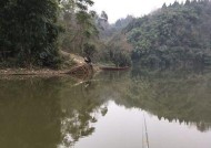 雨后水库钓鱼技巧（揭秘水库钓鱼技巧）