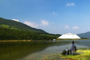 夏日钓鱼技巧（钓鱼达人教你如何在酷热夏天享受优质钓鱼体验）