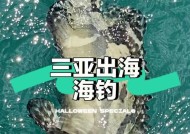 三亚岸边钓海鱼技巧（掌握钓海鱼的秘诀）