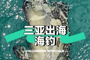 三亚岸边钓海鱼技巧（掌握钓海鱼的秘诀）