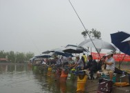 河道中坑钓鱼技巧教程（探索有效的河道中坑钓鱼技巧）