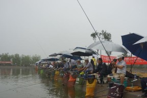 河道中坑钓鱼技巧教程（探索有效的河道中坑钓鱼技巧）